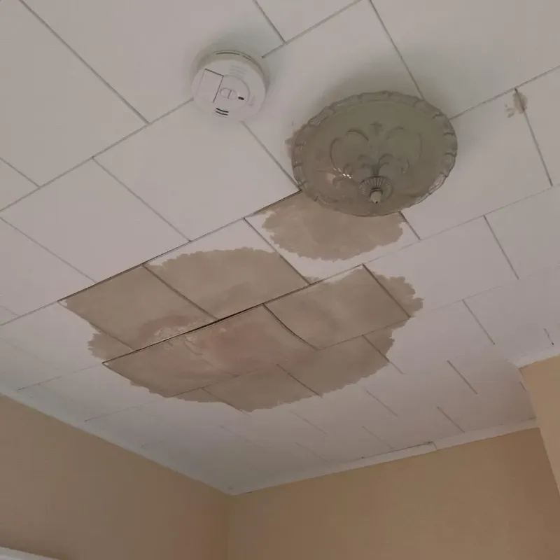 Ceiling Water Damage Repair in Forty Fort, PA