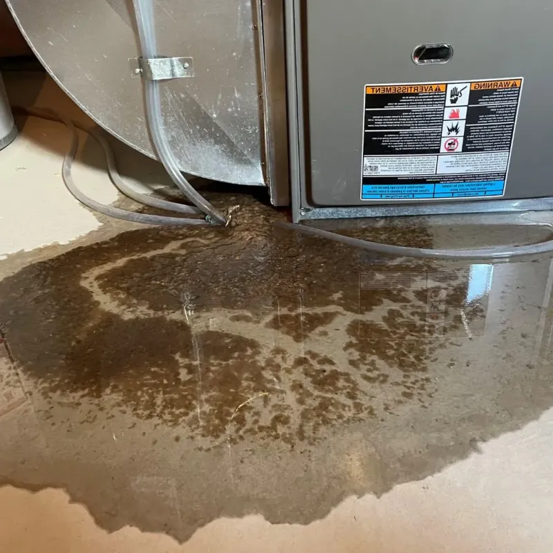 Pipe Burst and Leak Restoration in Forty Fort, PA